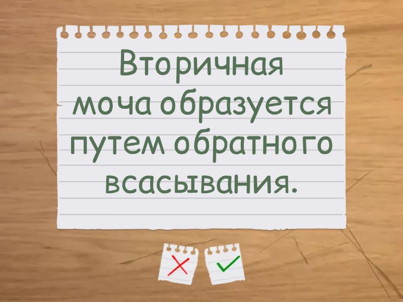 Верно-неверно - Flash cards