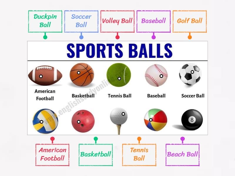 Name the sport balls! - Labelled diagram