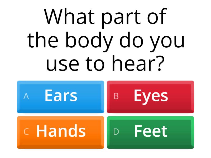Parts of the Body Quiz - Cuestionario