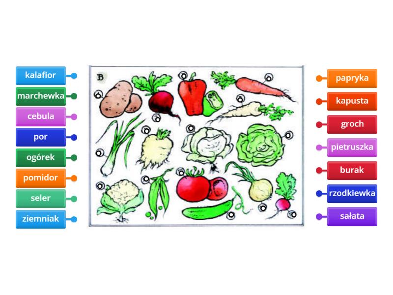 Warzywa - Labelled diagram