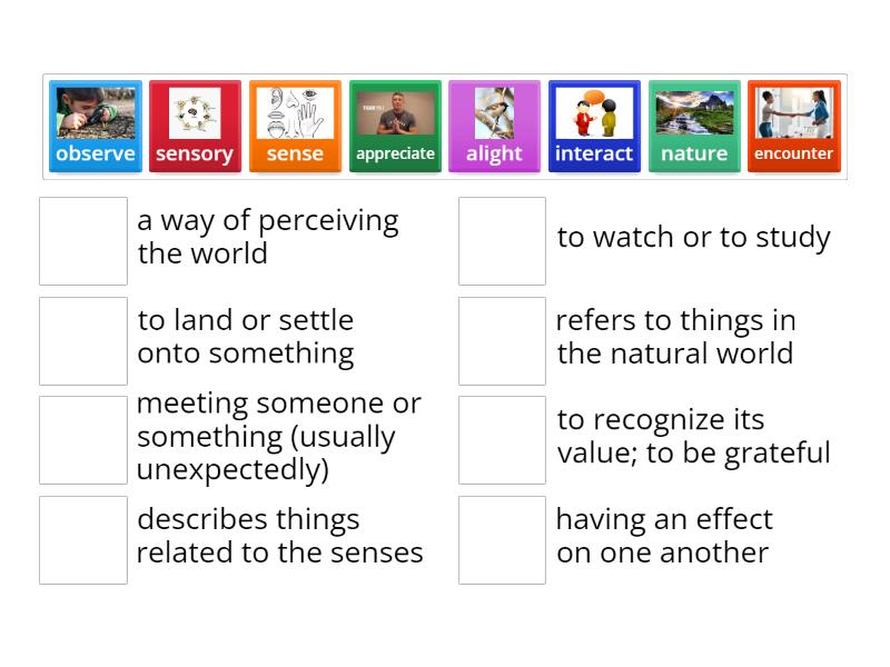 Unit 1 - Observing Nature part 1 - Une las parejas