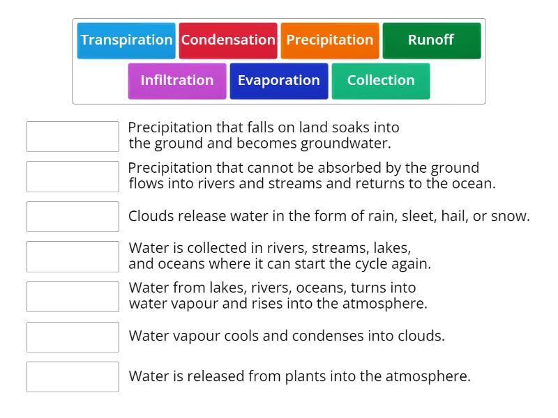 Water Cycle - Match up