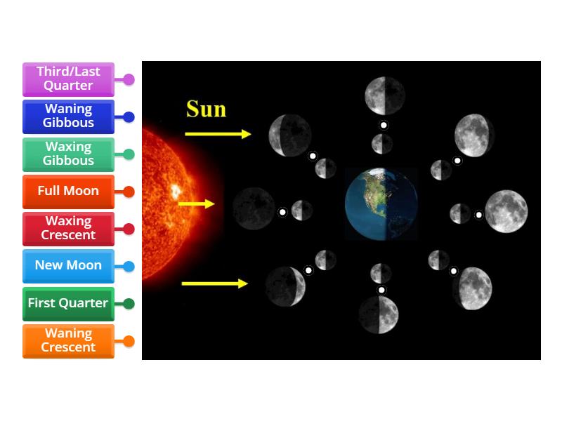 Phases of the Moon - Labelled diagram