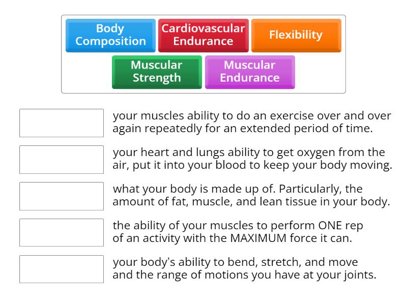 the 5 components of health-related fitness