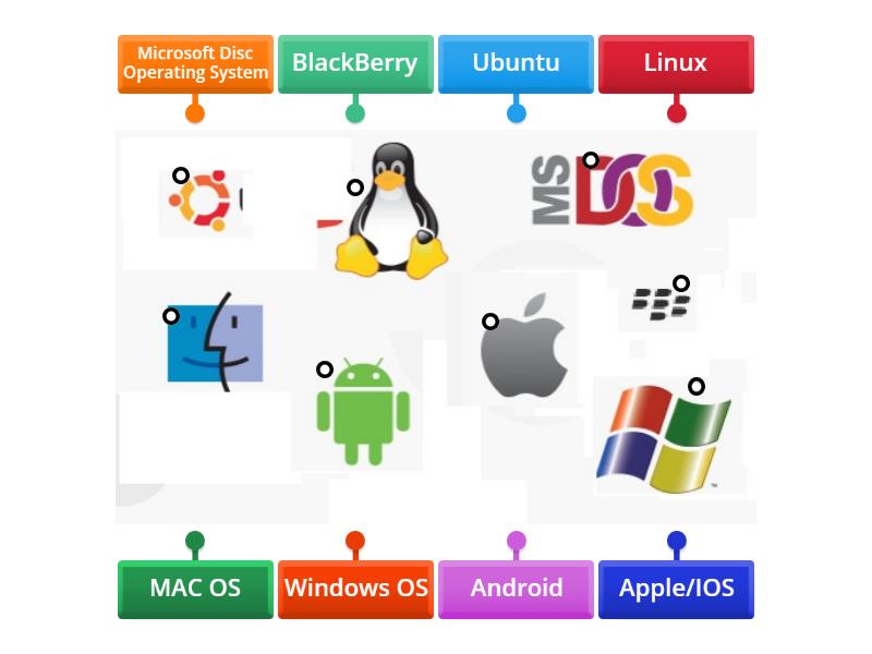 Label the Operating Systems - Labelled diagram