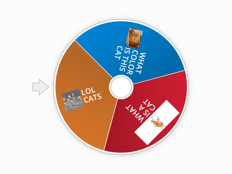 CATS! - Spin the wheel