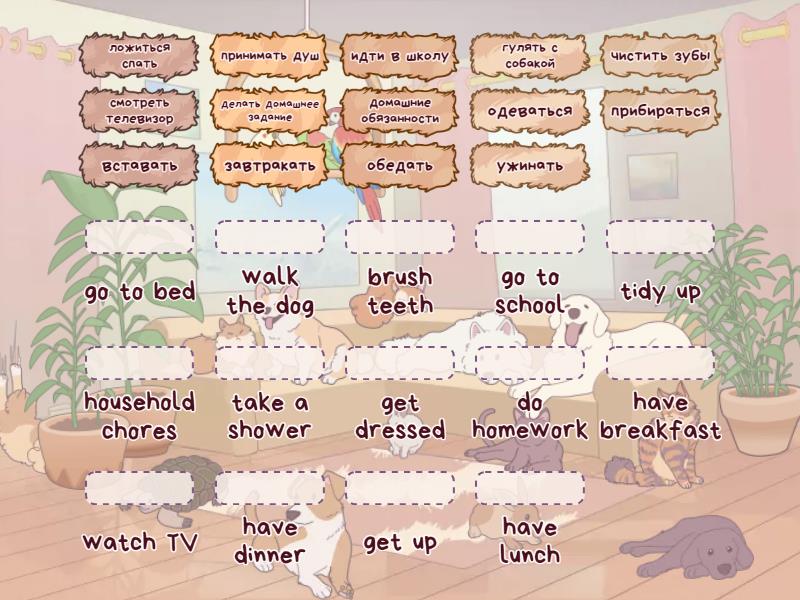 Daily routine - Match up