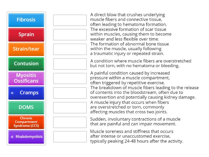 Muscle injuries - Match up