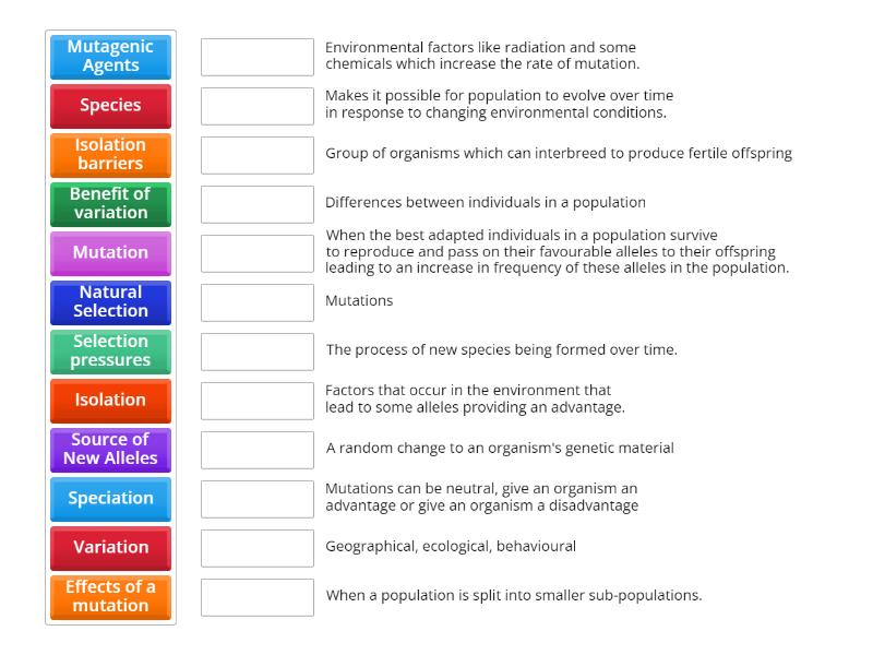 Evolution of Species - Key Terms - Match up