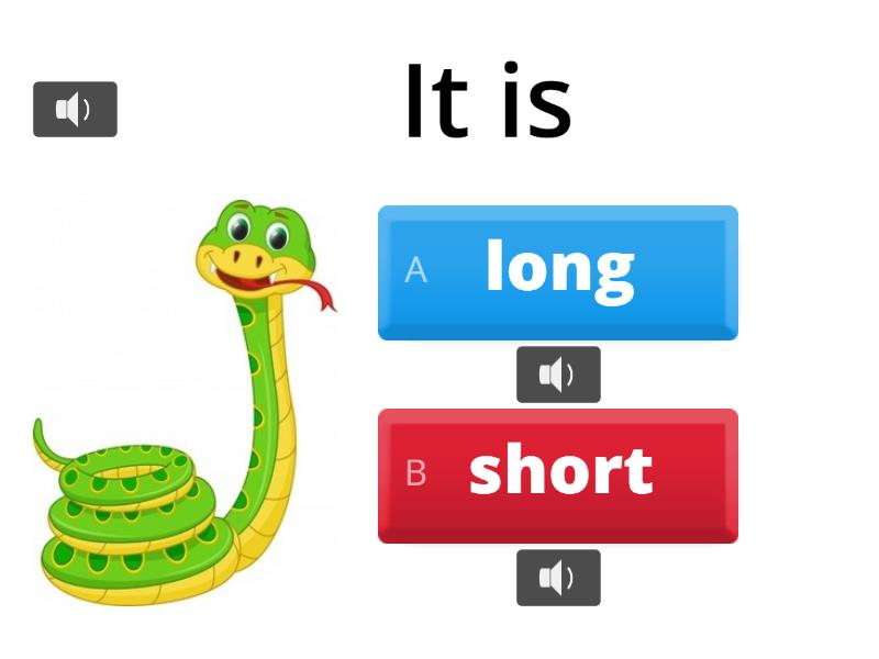 BIG SMALL LONG AND SHORT visual data 7