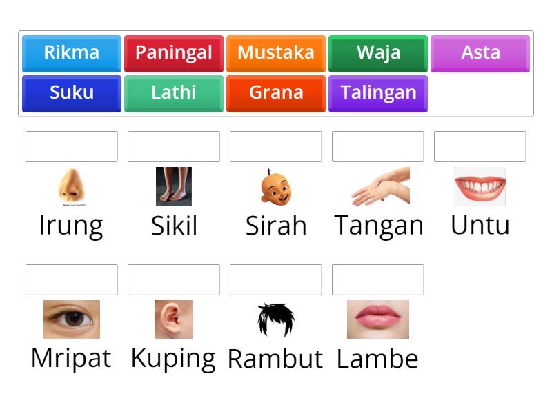 Rev Basa Krama Inggile Perangane Awak - Match up