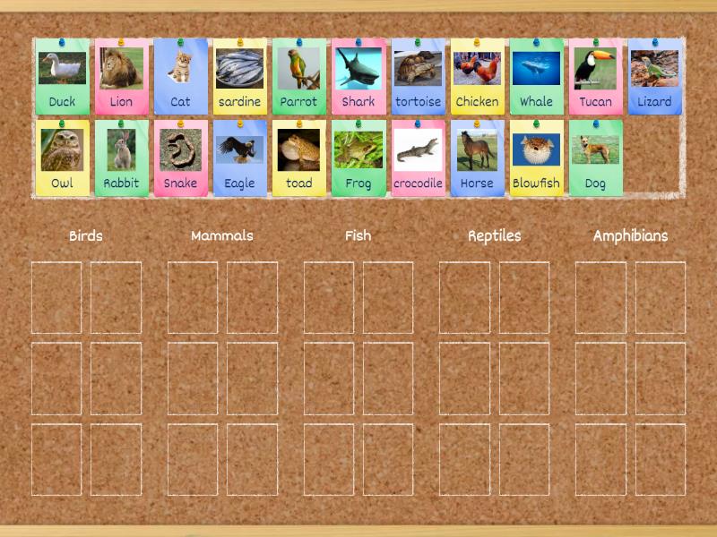 2 main groups of vertebrates