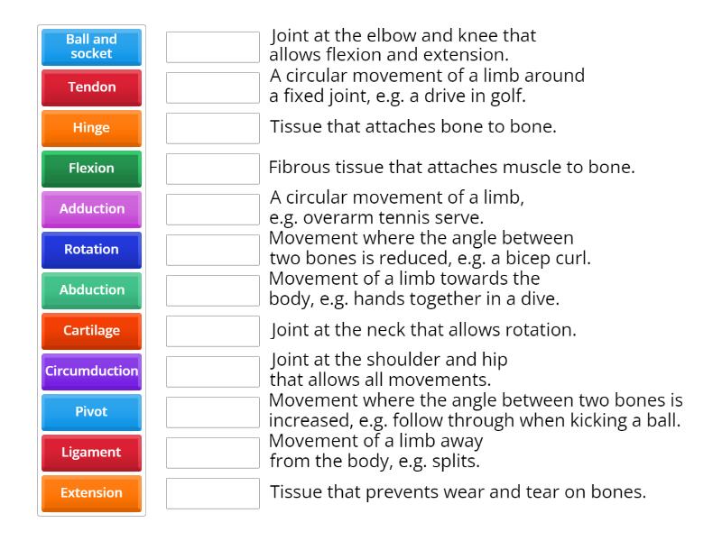 Task 6 Skeletal system Joints and movement Une las parejas