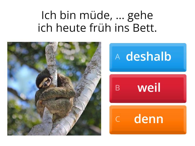 Weil Vs Deshalb. - Quiz