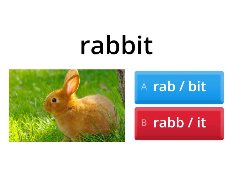 VCCV Syllable Division - Quiz