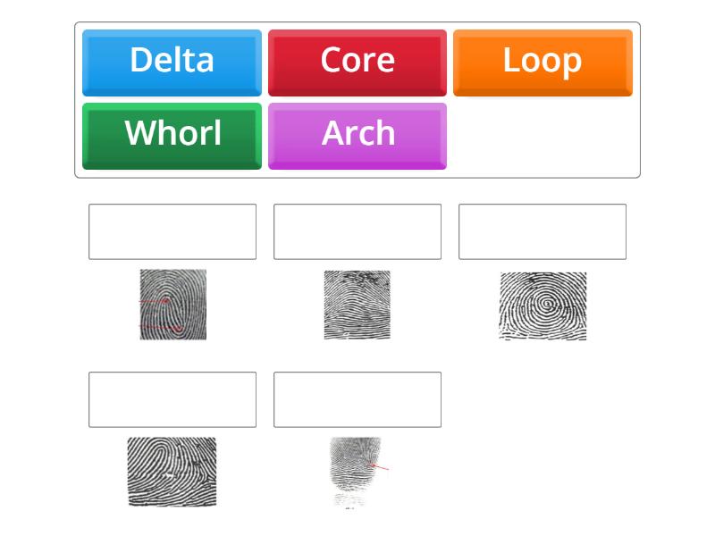 Fingerprint matching activity Match up