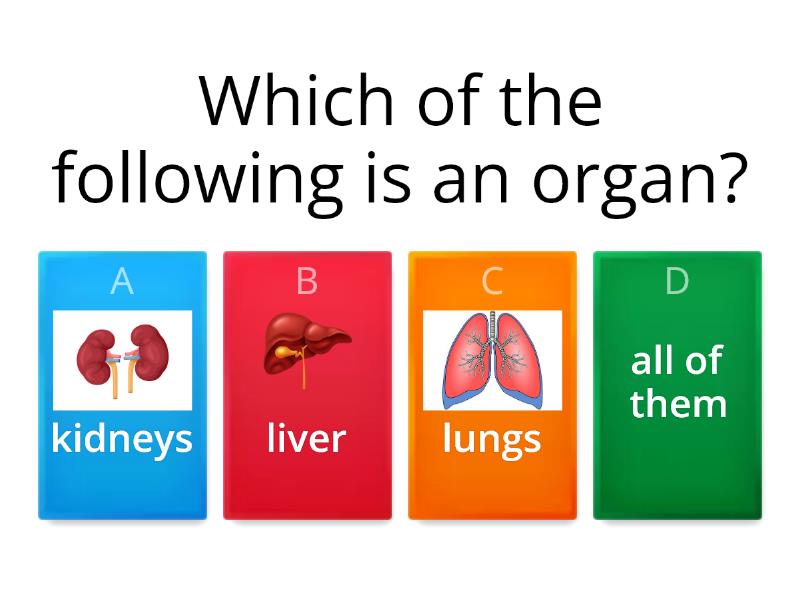 human-body-organs-quiz