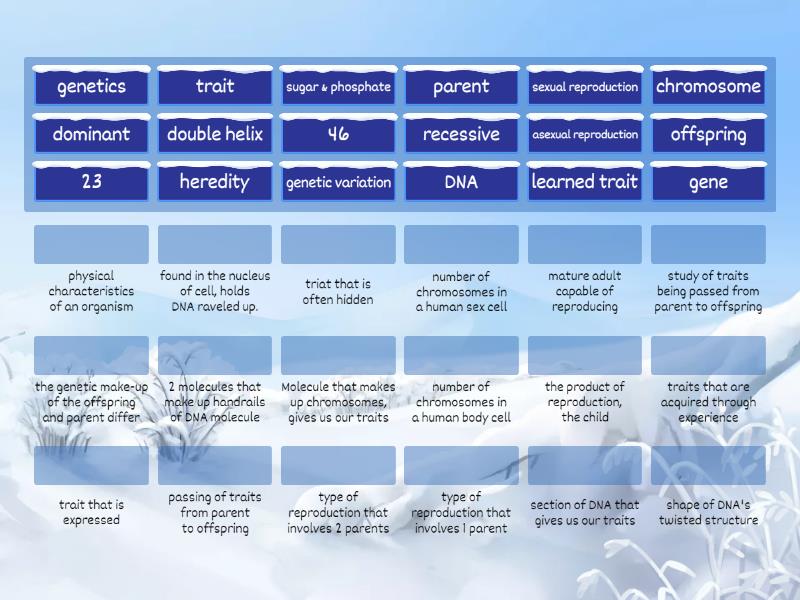 heredity-traits-warm-up-match-up