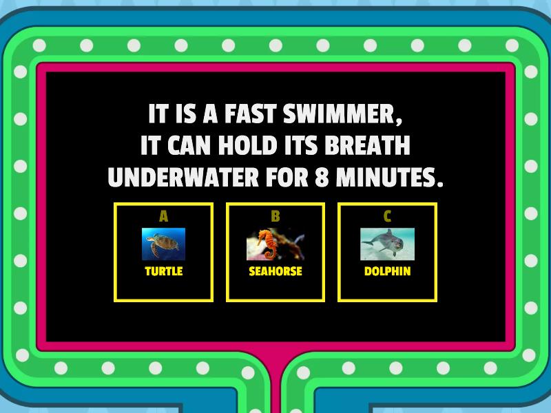 Marine Life Quiz Concurso de preguntas