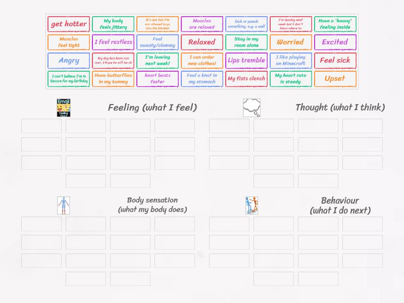 Feelings, Thoughts & Behaviors - Group sort