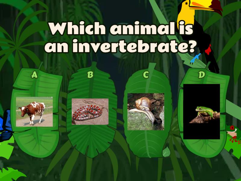 Vertebrates Or Invertebrates? - Quiz