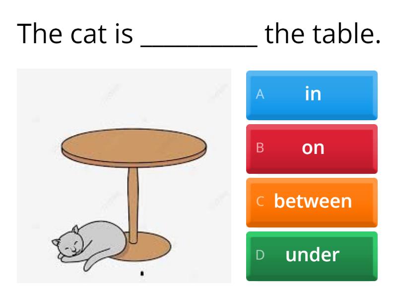 Where is the cat? - Quiz