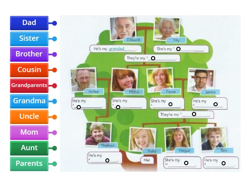 Family tree - Labelled diagram