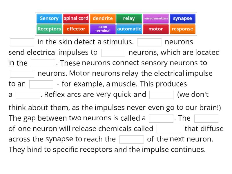 Reflex arcs - Complete the sentence