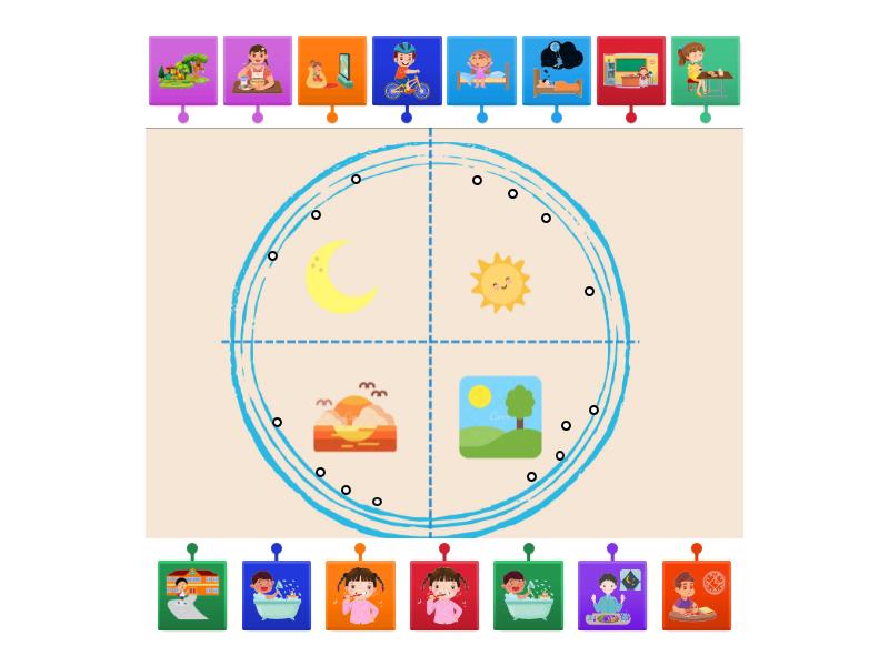daily routine FULL - Labelled diagram