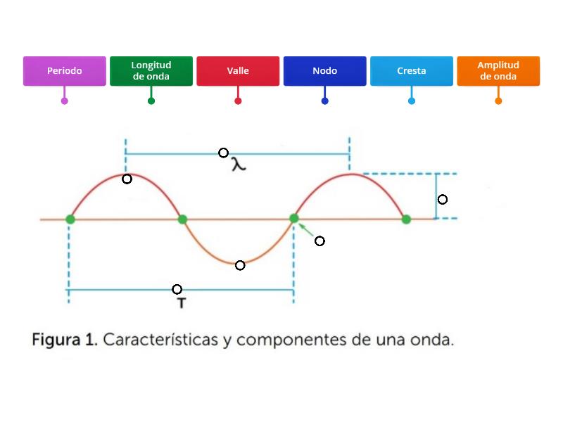 Caracteristicas de una onda - Labelled diagram