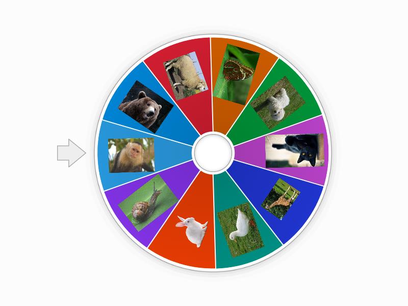 Animales - Rueda aleatoria