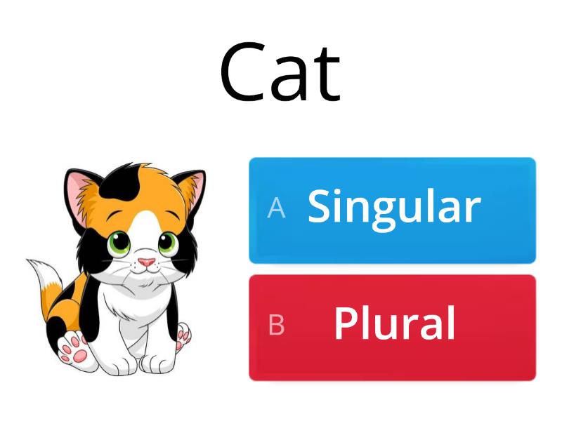 Singular And Plural Nouns - Quiz