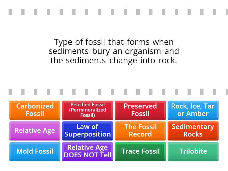 Fossils Find The Match