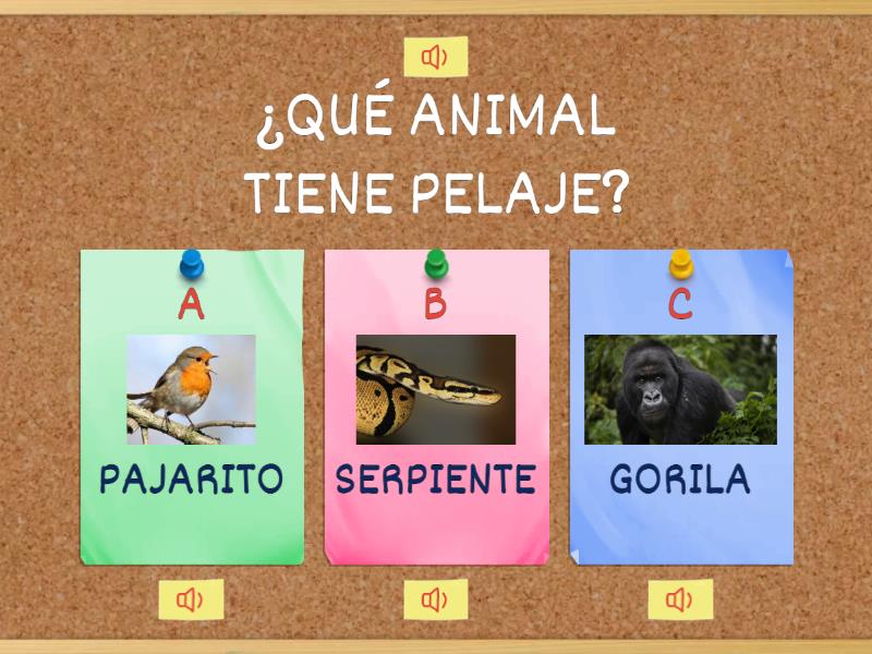 APRENDEMOS JUGANDO - Quiz