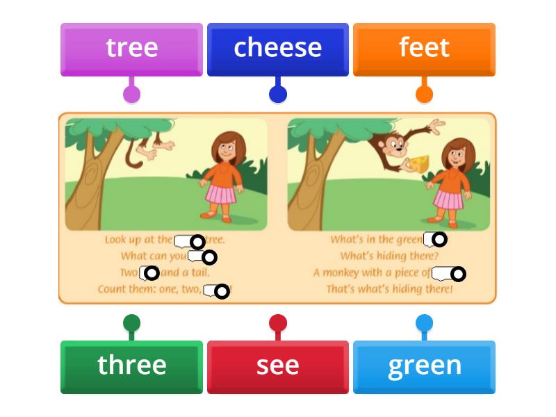 FF2 Unit 13 lesson 4 - Labelled diagram