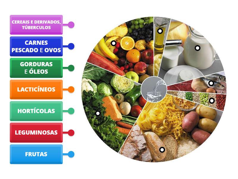 Roda Dos Alimentos Labelled Diagram 3230