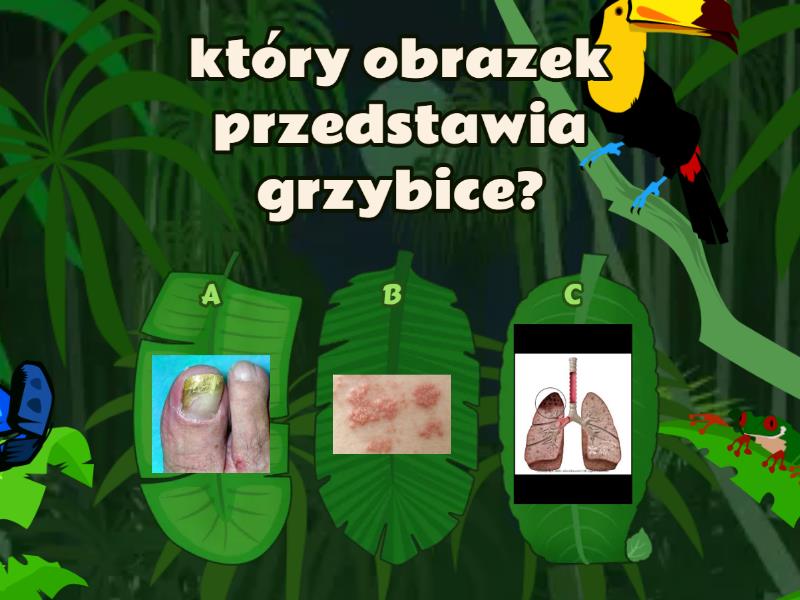 Sprawdzian 4 Klasa Przyroda Dzial 5 przyroda klasa 4 - Test
