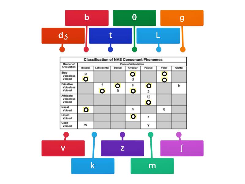 NAE CONSONANT CHART - Labelled diagram