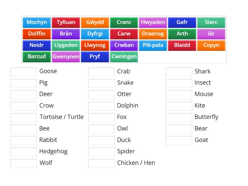 Duolingo - Animals Unit 2 - Match up