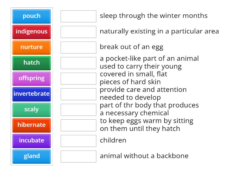 MASTERMIND C2_Unit 10 the natural world - Match up