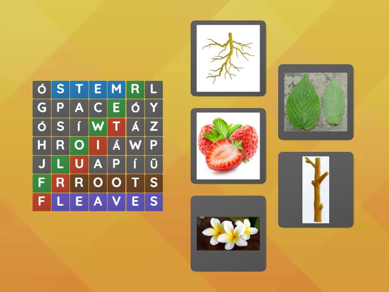 SOPA DE LETRAS PARTES DE LA PLANTA - البحث عن الكلمات