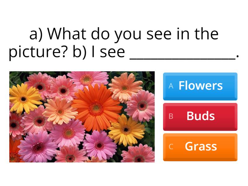 Spring Vocabulary - Quiz