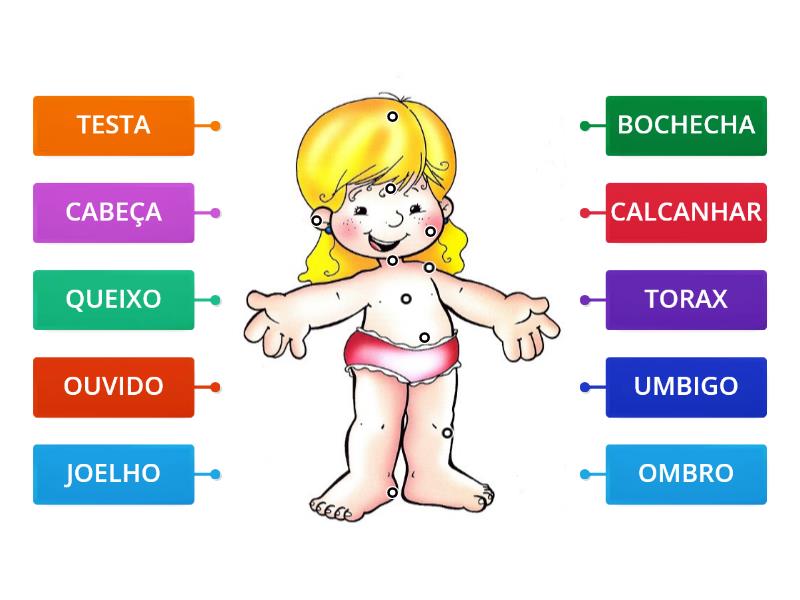 ATIVIDADE PARTES DO CORPO HUMANO - Labelled Diagram