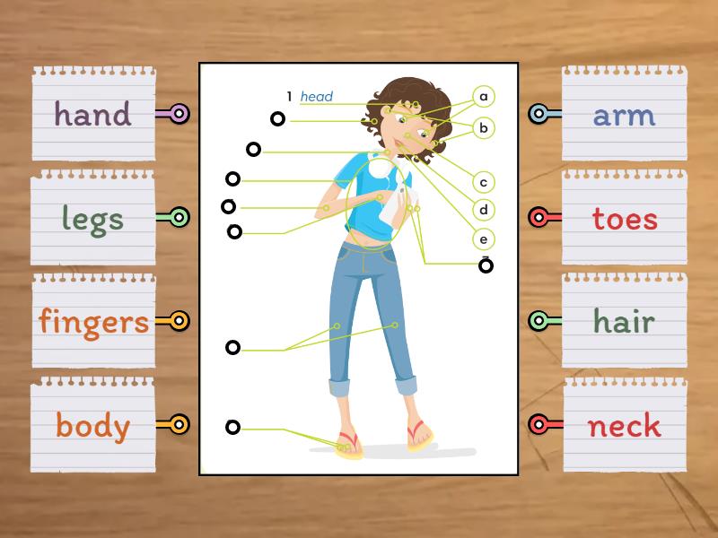 Go getter 1 unit 4 revision body - Labelled diagram