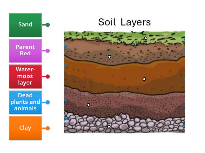 Soil Layers - Labelled diagram