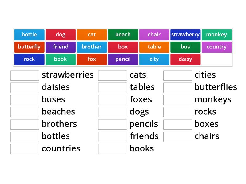 Discover Starters Singular plural nouns 1 - Match up