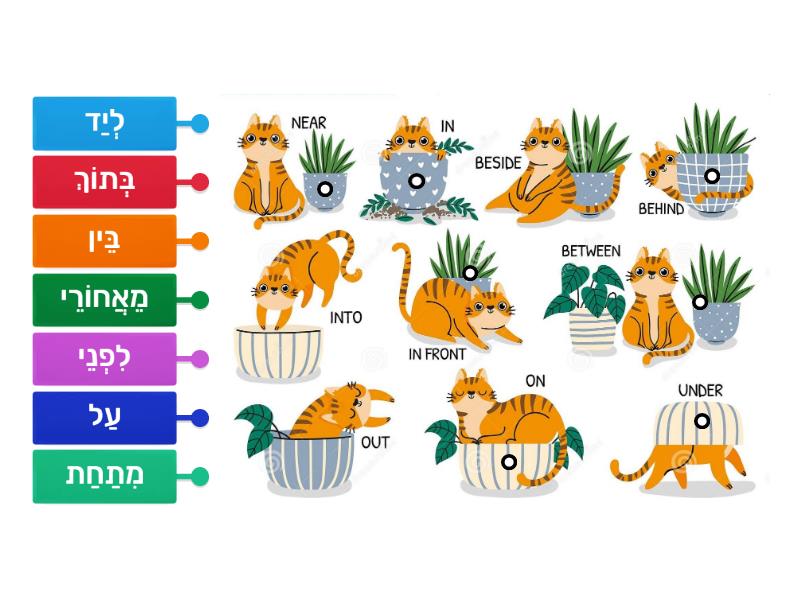 מילות יחס - Labelled diagram