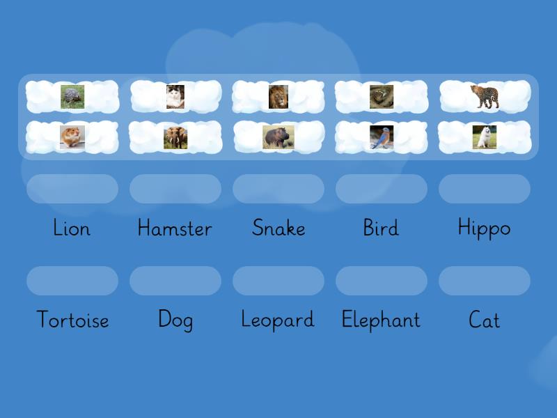 Match Animals - Match up