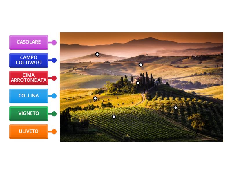 La Collina Labelled Diagram