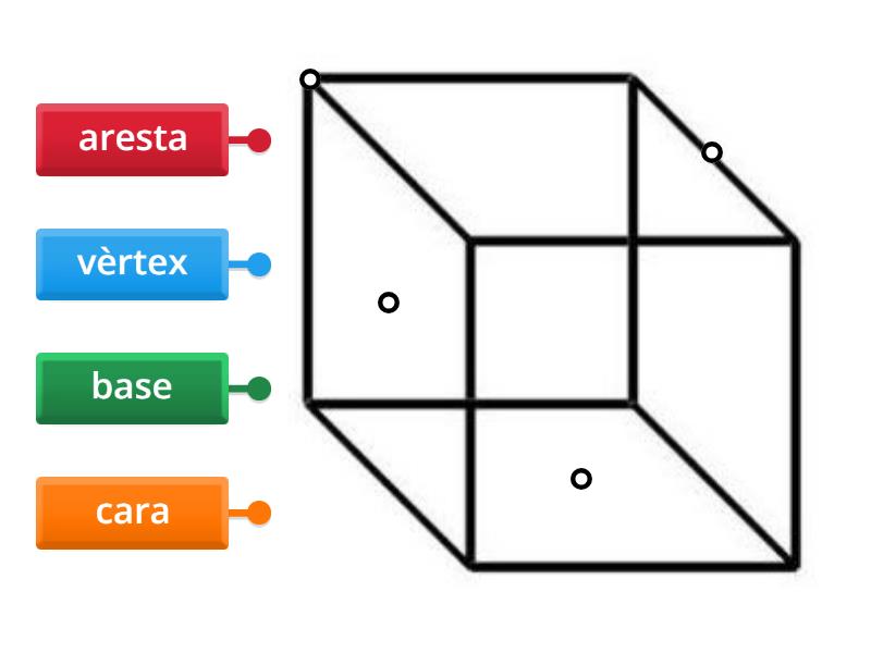 Les parts d'un cub - Labelled diagram